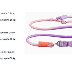 Adjustable Pet Leash - Pink & Purple