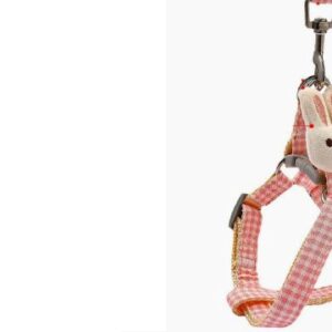 Rabbit Character Pet Harness