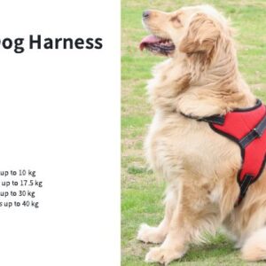 No-Pull Dog Harness