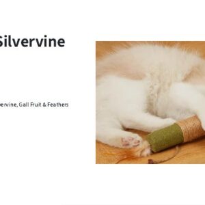 Catnip & Silvervine Chew Toy
